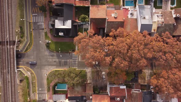 Aerial top down of cars driving on Parana avenue a fancy neighborhood in Buenos Aires during autumn