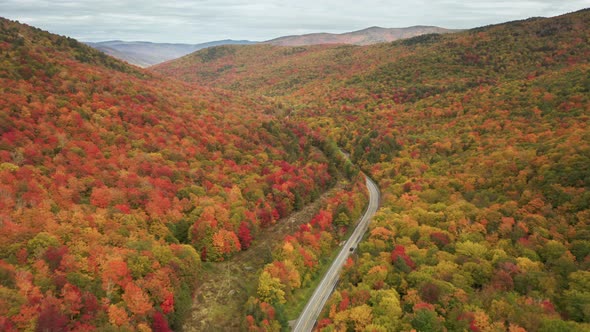 Scenic Aerial of Fall Forest Colorful Bright Foliage on Overcast Rainy Day