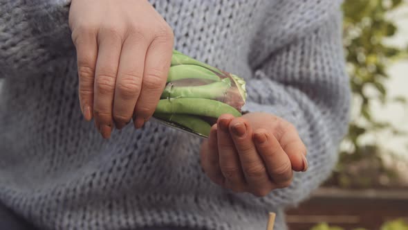 Gardener Tipping Seeds From Packet Into Hand