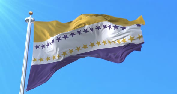 Women's Suffrage Flag