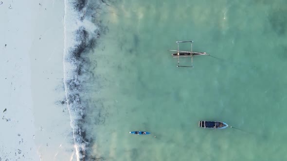 Vertical Video Boats in the Ocean Near the Coast of Zanzibar Tanzania Aerial View