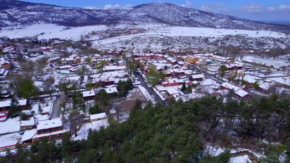 Tilt-up reveal over the Pine Tree woodlands of the Alpine town of Pradera de Navalhorno in Spain