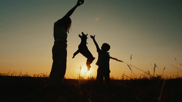 Mother and Son Playing with a Dog at Sunset. Slow Motion