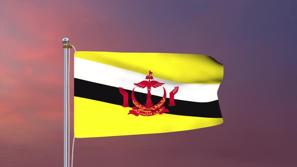 Brunei Flag 4k