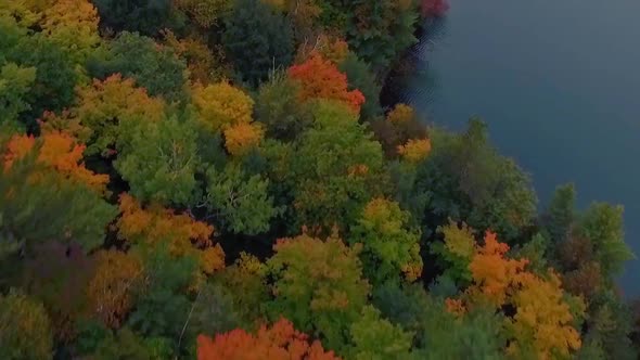 Daring fly-over of beautifully colorful trees at Pink Lake, Gatineau Park during Fall.