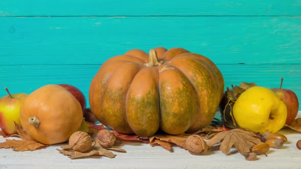 Halloween Still Life with Decorative Pumpkins, Walnuts, Acorns and Autumn Leaves