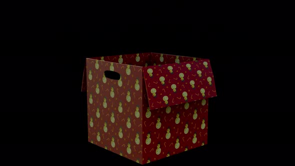 Open Box Christmas