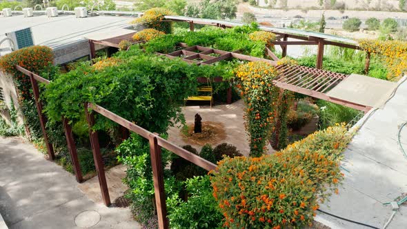 A beautiful garden inside an urban area with water streams, flowers and trees