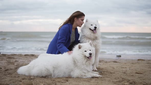 Side View of a Young Woman Sitting on the Sand and Embracing Her Dogs of the Samoyed Breed By the