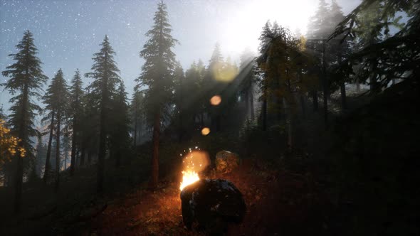Campfire at Mountain alt