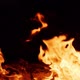 Flames from campfire burning at night - VideoHive Item for Sale