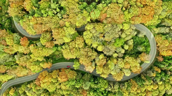 Idyllic trip by driving through a autumn colored forest with winding curves by a red car filmed by a