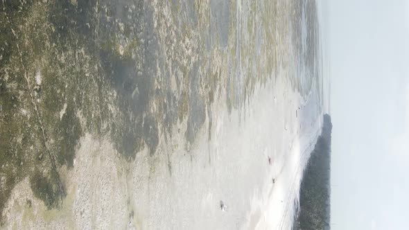 Zanzibar Tanzania  Vertical Video of Low Tide in the Ocean Near the Coast Slow Motion