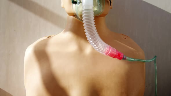 Dummy patient simulated mannequin wearing oxygen mask