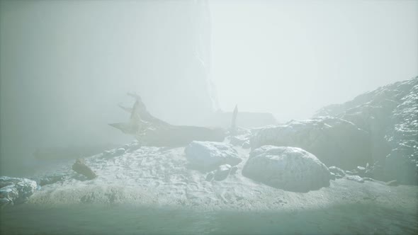 Rocky Cliff with Sand Beach in Deep Fog