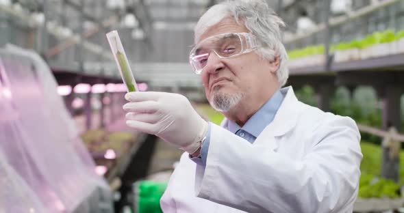 Close-up of Serious Caucasian Man in Protective Workwear Closing Test Tube with Plant Leaves in