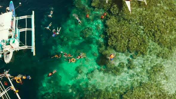 Tourists Snorkeling in Coral Reef Moalboal Philippines