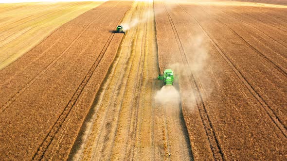 Two harvesters working on wheat field, aerial view alt