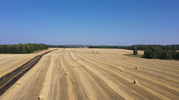 Helicopter View Agricultural Machinery Working in the Field Harvesting