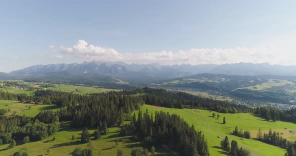 Flying Over the Beautiful Forest Trees. Landscape Panorama