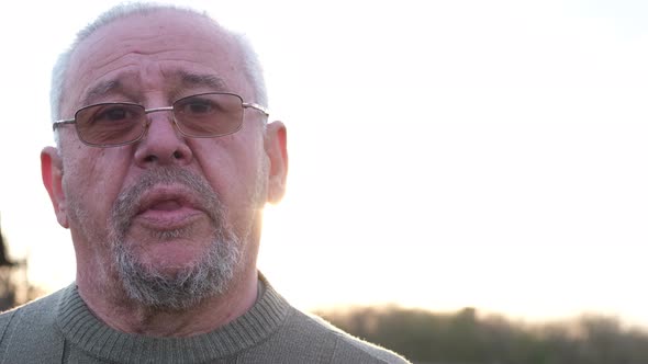 Portrait of a Senior Grayhaired Man on a Background of Sunlight