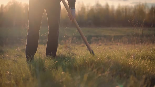 Man Digs Garden At Sunset. Gardener Digging In Allotment. Growing Organic Vegetables Digs Potatoes.