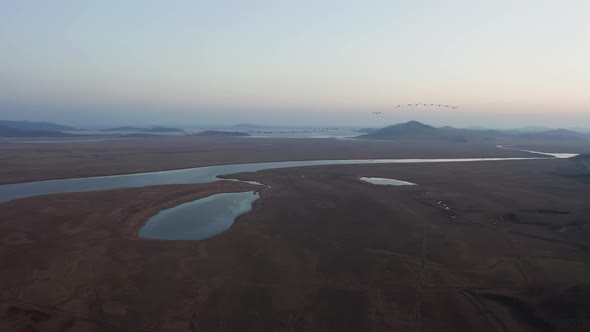 Aerial Footage of a Flock of Whitenecked Cranes at Sunset