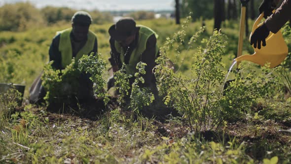 Watering Plants in Woods