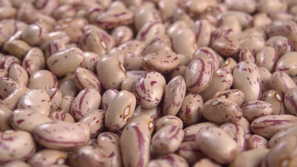 Raw spotted pinto beans. Macro