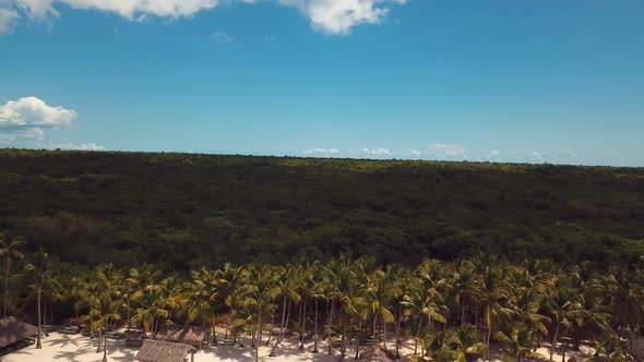 4k 24fps Drone Shoot Of The Carbbean Beach  With Palmstree And Crystal Water A Paradise