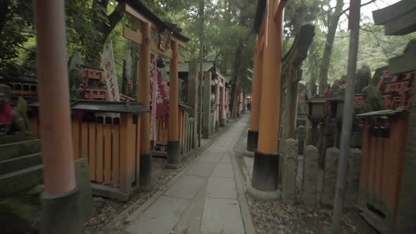 Torri gate of shrines