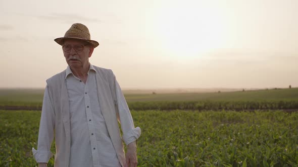 Old Man in Glasses Crosses His Hands on a Field