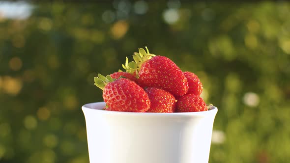 Cup with blueberries in the garden