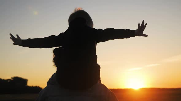 Happy Family Mother and Little Son Silhouettes Playing on Meadow