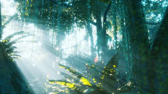 Misty Rainforest and Bright Sun Beams Through Trees Branches