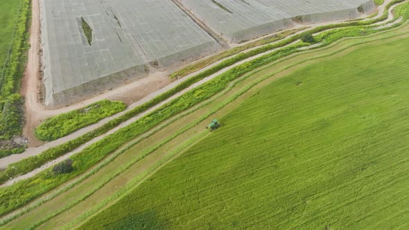 Combine harvester mowing Wheat, Aerial view