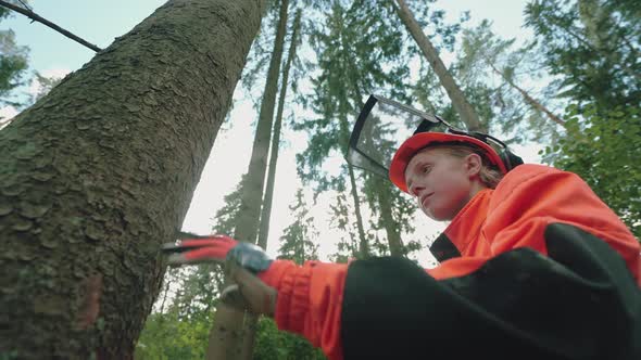 Portrait of a Woman Logger Standing Near a Pine Tree Specialist Female in Protective Gear Works on