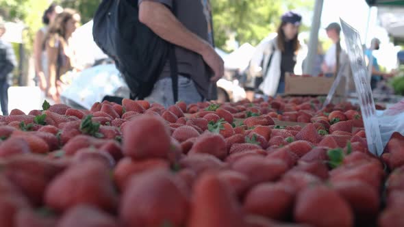 Man paying for strawberries at campbell farmers market. Static close up