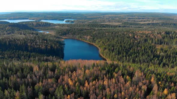 Drone footage flying over a colourful autumn forest towards i small lake. Filmed in realtime at 4k.