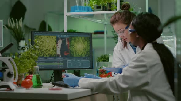 Collegues Checking Medical Expertise on Computer Researching for Gmo Meat Sample