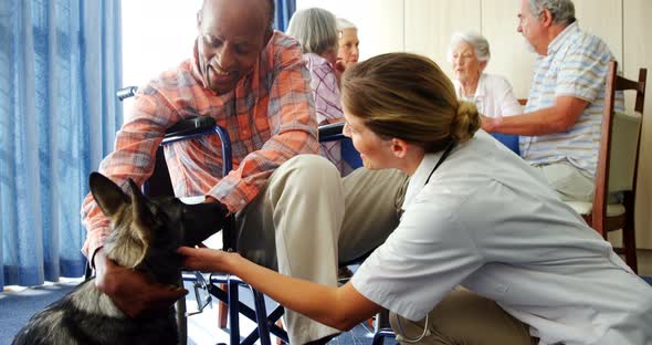 Female doctor and disabled senior man stroking puppy at retirement home 4k