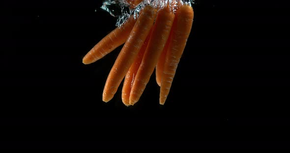 Carrots, daucus carota, Vegetables Entering Water against Black Background, Slow Motion 4k