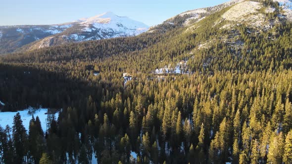 Drone birdseye wideangle footage through a wintry conifer forest valley towards snowcapped mountains