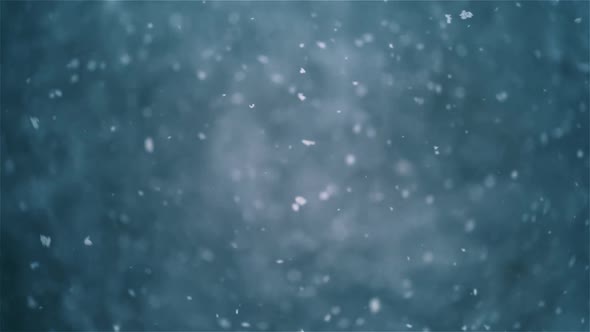 Real Snow Falling in Winter It Is Snowing Bokeh Nature Background