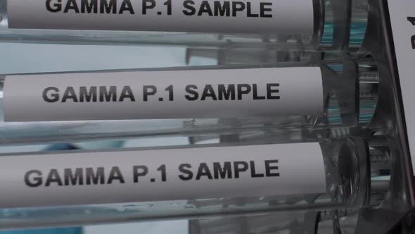 Gamma P.1 Brazil Variant Test Tube Sample Vials In Rack. Vertical Video, Tilt Down