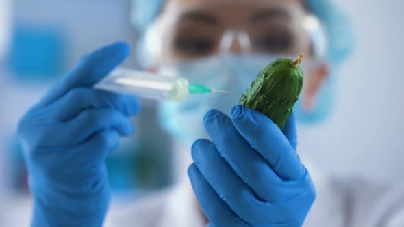 Researcher Injecting Preservation Liquid in Cucumber, Vegetables Quality Control