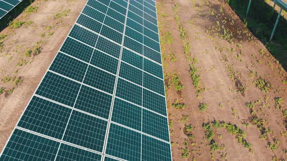 Solar Farm. Aerial View Solar Power Station. Panels Stand in Row on Green Field