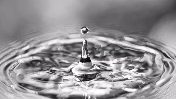 Super Slow Motion Detail Shot of Water Drop at 1000 Fps