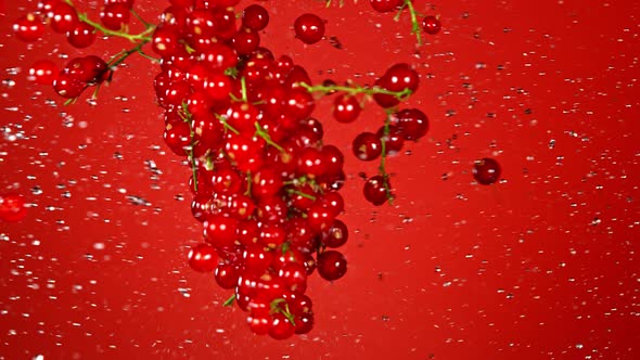 Super Slow Motion Shot of Red Currants and Water Side Collision on Red Background at 1000Fps.