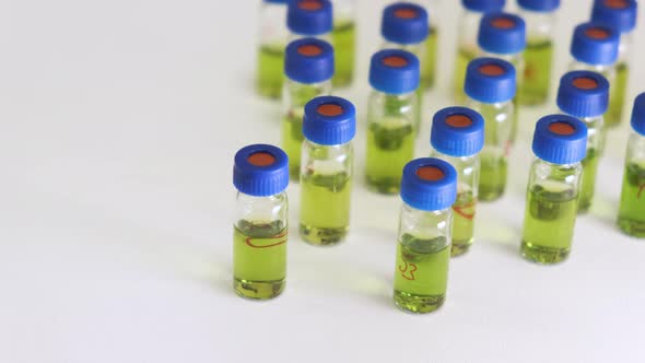 Glass Vials or Bottles with Green Plant Extracts Before HPLC Analysis